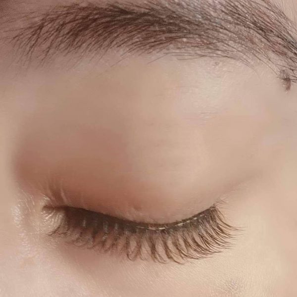 MLEN Taiwanese Camellia Style Soft Magnetic Eyelash Extensions