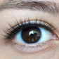 MLEN Hepburn’s Eyeliner Style Soft Magnetic Eyelash Extensions